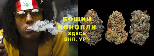 трава Аркадак