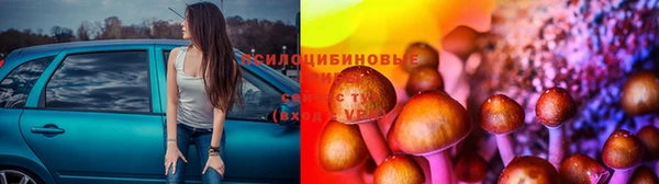 трава Аркадак