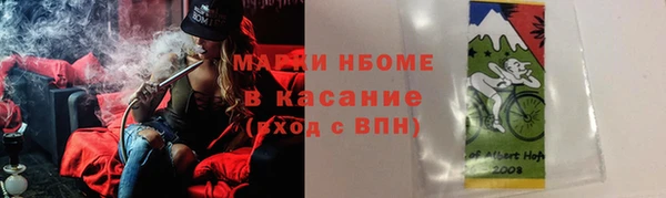 трава Аркадак