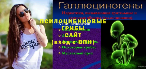 соль ск Арсеньев