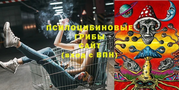 соль ск Арсеньев
