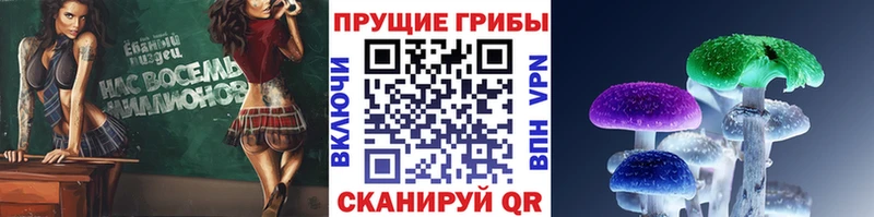 shop формула  Свободный  Галлюциногенные грибы ЛСД 